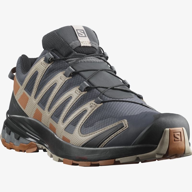 Tæller insekter Wreck legeplads Salomon Hiking Shoes Coupon - Salomon XA PRO 3D v8 GORE-TEX Mens Black -  Salomon Shoes UK